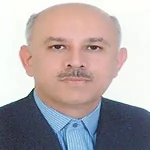 تصویر دکتر حمزه زارعی