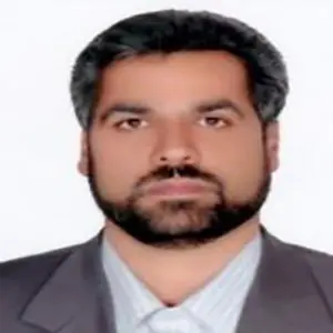 دکتر سید حسن میرحسینی