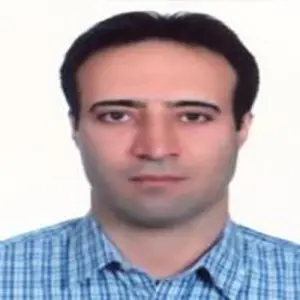 دکتر هادی نیکنام