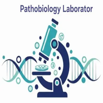 null آزمایشگاه پاتوبیولوژی دیار شیراز
